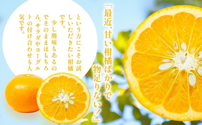 【先行予約】【家庭用】浅野農園のサンフルーツ計5kg ※離島への配送不可（2027年3月中旬頃より順次発送予定）IKTAC010