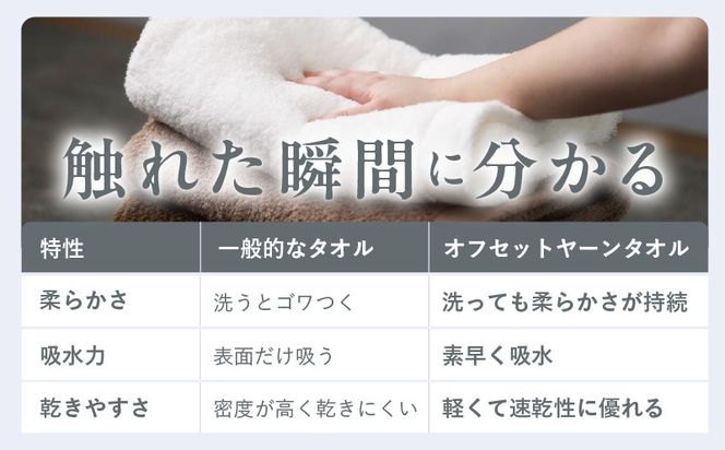 G2686 【TVで紹介！】おぅ！え～やん バスタオル（グレー）2枚【泉州タオル 国産 吸水 普段使い 無地 シンプル 日用品 家族 ファミリー】