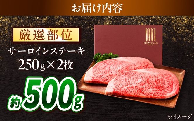 【A4〜A5】長崎和牛 サーロインステーキ 500g（250g×2）/ さーろいん 牛肉 ぎゅうにく すてーき / 南島原市 / 株式会社MEAT PLUS[SHG029]