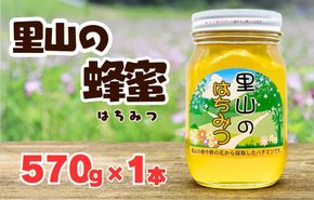 ありだ里山の蜂蜜 570g 化粧箱入り BC05