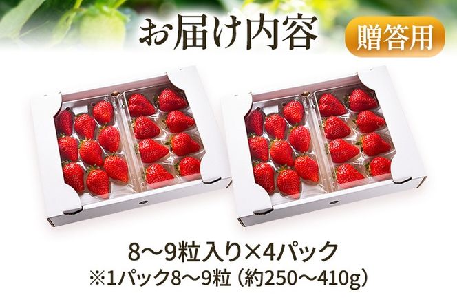 アフター保証 あまおう 8～9粒入り×4パック （先行受付／2025年1月以降順次発送予定）いちご 大粒 不揃い DX デラックス エクセレント 苺 イチゴ 福岡高級 フルーツ 土産 福岡県