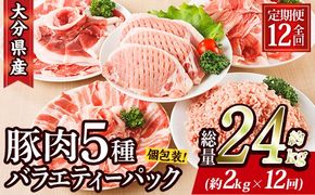 ＜定期便・全12回 (連続)＞ 豚肉 バラエティーパック (総量24kg・5種) 豚バラ しゃぶしゃぶ 鍋 とんかつ ロース 小分け 個包装 豚こま 小間切れ スライス ミンチ セット 詰め合わせ 冷凍 食べ比べ 国産 大分県 佐伯市【BD323】【西日本畜産】