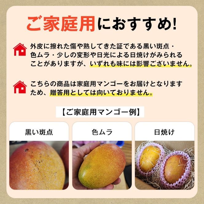 y̑Sǒzy0105933azYقXXIǒY ۂƗⓀ}S[(v800gE2-3) ʕ t[c ʎ fU[g Y Ⓚ ƒp yǕYكsm̗z