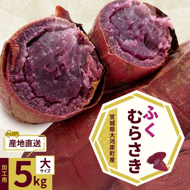 さつまいも 約5kg ふくむらさき 加工用 大きいサイズ サツマイモ 宮城県産 甘い 秋 冬 スイーツ いも 産地直送 宮城県 大河原町