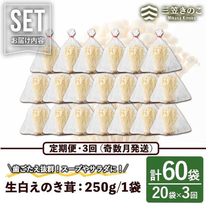 ＜定期便(奇数月)・全3回＞生白えのき茸(計60袋・20袋×3回)国産 エノキ きのこ キノコ 個包装【三笠えのき茸生産組合】akn010-23