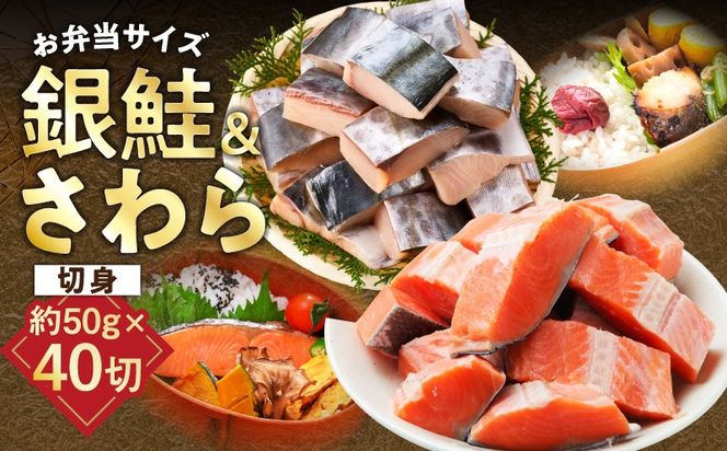 G3802 【お弁当サイズ】さわら&銀鮭 切身 計40切れ（各約50g×20切れ） 【小分け 漁師 さけ サケ 手切り  泉州 鰆 切り身 弁当 朝食 時短 訳あり サイズ不揃い 規格外 冷凍食品 】