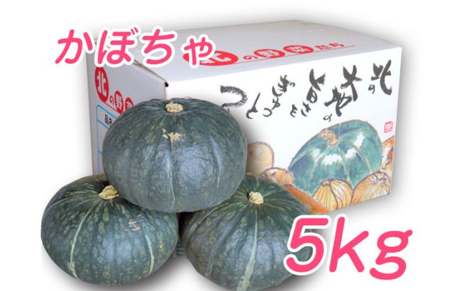 【2026年10月発送】富良野市産 かぼちゃ「ブラックのジョー」 5kg (中山農園) 野菜 南瓜