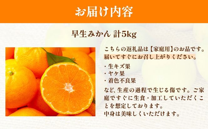 【先行予約】浅野農園の早生みかん 家庭用計5kg ※着日指定不可 ※離島への配送不可（2026年11月上旬～11月中旬頃に順次発送予定）IKTAC002