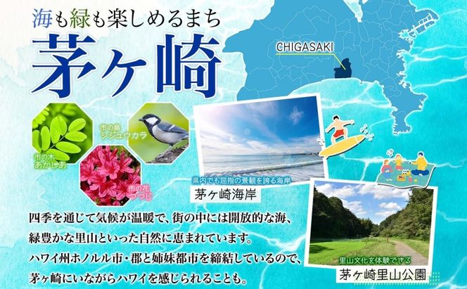 松ラガー MATSU LAGER 330ml 3本 発泡酒 松の葉 生ぼっくり ホップ フルーティー 酒 お酒 アルコール 晩酌 宅飲み リフレッシュ アウトドア レジャー お祝い ギフト 贈り物 手土産 ご褒美 湘南 GreenBeachbrewery 茅ヶ崎市 神奈川県