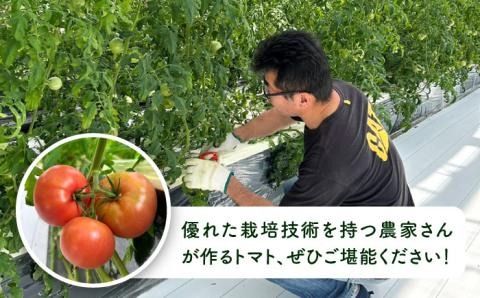 【先行受付】糸島産 絶品 トマト かれん ( 4kg 28玉 前後 ) 【2026年11月上旬以降順次発送】糸島市 / シーブ[AHC019]