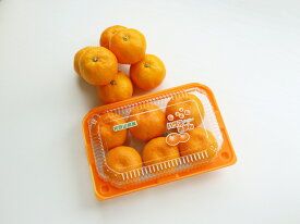 BF6054_【2026年先行予約】ハウスみかん 6パック 【ミカン 蜜柑 柑橘 温州みかん 有田みかん 和歌山】