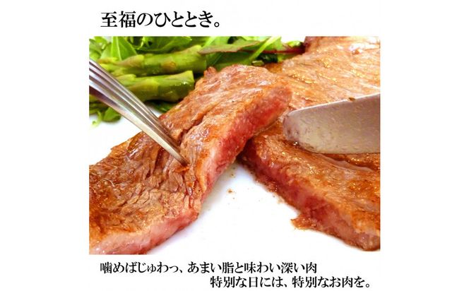 肉のいとう 最高級A5ランク仙台牛サーロインステーキ 10枚【特産品 宮城県産  仙台牛 国産牛 サーロイン  ステーキ 霜降り  厳選 ごちそう 記念日 ギフト お歳暮 お中元 定番 安心安全 品質保証 リピート ランキング】 041009_AP021