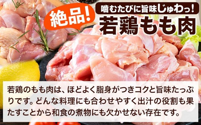 うまかチキン 全パックもも肉セット(計1種類) 合計9.3kg《30日以内に出荷予定(土日祝除く)》ふるさと納税 肉 とり とり肉 鳥もも肉 小分けバック 鳥 とりもも 冷凍 定期 大容量 もも肉 数量限定 簡易包装 鶏肉---hkw_26_lcl_165_30p---