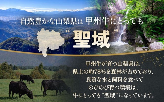小林牧場の甲州ワインビーフシチュー　A-11