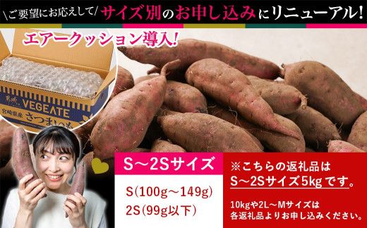 先行受付!【11月お届け】島津甘藷　熟成紅はるか 5kg(S～2S)_LE-A7-001-5kg-m-11