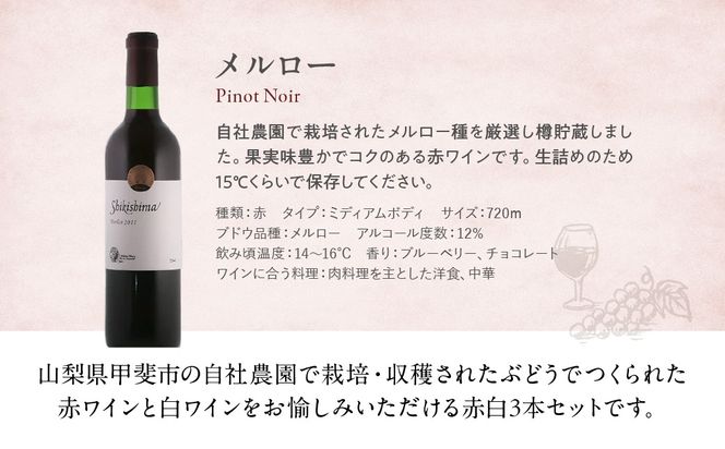 敷島醸造　敷島ワイナリー特選3本セット　F-20