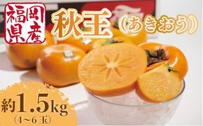 柿 秋王 4-6玉 約 1.5kg 【期間限定発送】 [南国フルーツ 福岡県 宇美町 um40azo970028] 先行予約 福岡県産 あきおう かき フルーツ 果物 くだもの 果実 甘い あまい