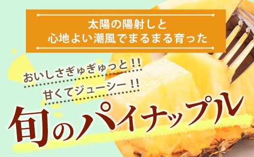 【予約受付】【定期便】石垣島産 パイナップル 3回 定期 3種 計6玉【2026年 5月頃・6月・7月頃お届け】 ふるさと納税 パイナップル パイン フルーツ 果物 果実 定期便 定期 3回 3か月 沖縄県 石垣市 石垣島 産地直送 ふるさと 人気 送料無料 KP-18