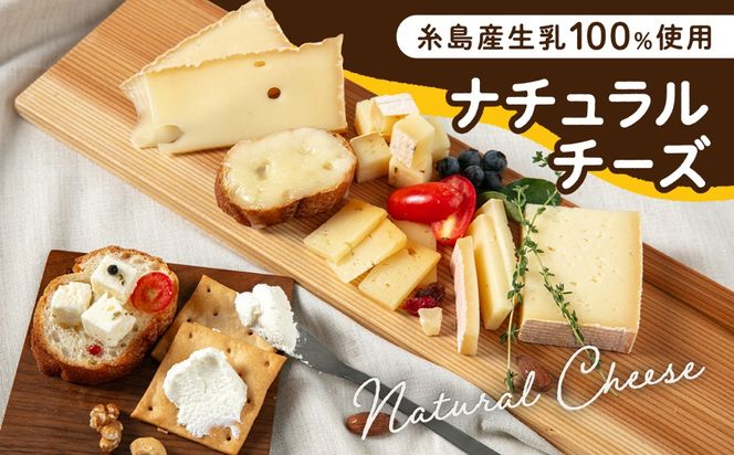 【全6回定期便】糸島産 生乳 100％ 使用 手作り チーズ 充実 7点 セット 糸島市 / 糸島ナチュラルチーズ製造所TAK-タック-[AYC013]