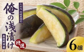099H4486 特選 俺の浅漬け（水なす浅漬け） 6個入り【新鮮 朝採り 泉佐野産 水ナス 水茄子】