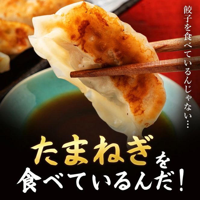 淡路島たまねぎたっぷりジューシー餃子 100個　餃子