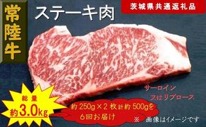 169-26-045 【6か月定期便】【常陸牛】ステーキ用肉 約500g【定期便】計6回 総量約3,000g（茨城県共通返礼品）【 常陸牛 茨城県 日立市 】