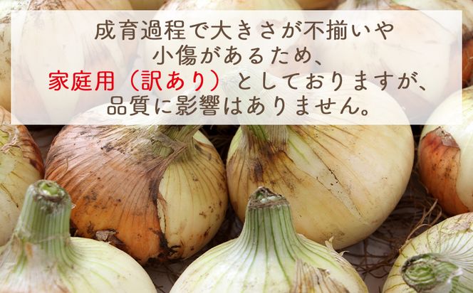 【2026年３月以降順次発送】新玉ねぎ ５ｋｇ 家庭用 yr-0079