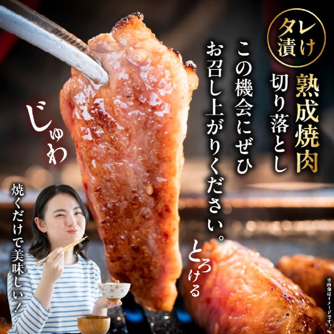 【食べログ百名店特製】宮崎牛タレ漬け熟成焼肉切り落とし 600g 国産 牛肉 国産牛 宮崎牛 黒毛和牛 お肉 切落し 切り落とし 熟成 タレ漬け 焼肉 焼き肉 冷凍 宮崎県