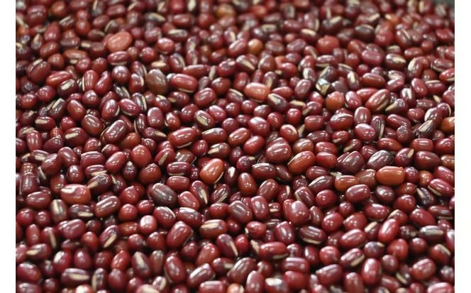 E112 楊貴妃の里（パイ饅頭）