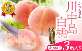 【予約受付】こだわり農家厳選 川中島白桃 和歌山産の桃 <大玉特秀品> 嬉しい食べきり容量 3玉 2026年7月末頃～2026年8月末頃に順次発送予定（お届け日指定不可）/ 桃 もも 川中島 白桃 フルーツ 果物 くだもの 【kgr501-kawa-ta3】