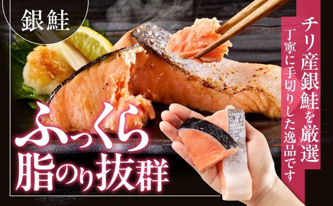 G3802 【お弁当サイズ】さわら&銀鮭 切身 計40切れ（各約50g×20切れ） 【小分け 漁師 さけ サケ 手切り  泉州 鰆 切り身 弁当 朝食 時短 訳あり サイズ不揃い 規格外 冷凍食品 】