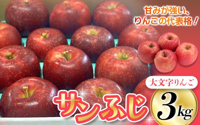 りんご・梨カテゴリ人気ランキング入り！ ≪12月末までの受付≫【2025年12月上旬より順次発送】大文字りんご園 サンふじ 約3kg (中玉7～10玉)/ 樹上完熟 りんご リンゴ 林檎 果物 くだもの フルーツ 甘い 旬 産地直送 予約 先行予約　【dma513-sf-3C】