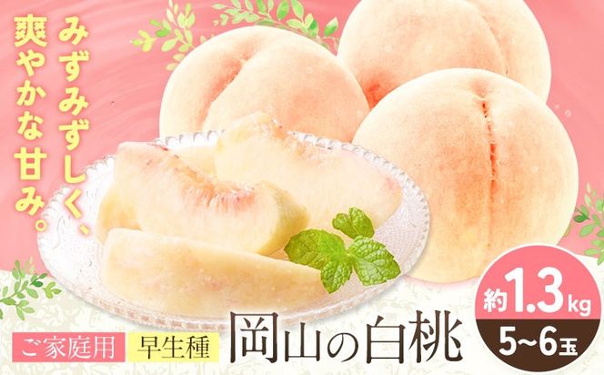 【2027年発送先行予約】ご家庭用 岡山の白桃（ 早生種 ）約1.3kg 5～6玉 《2027年6月下旬-7月中旬頃出荷》 晴れの国おかやま館 (つむぐ株式会社) フルーツ 果物 果実 桃 白桃 岡山県 笠岡市【配送不可地域：離島】---H-101---
