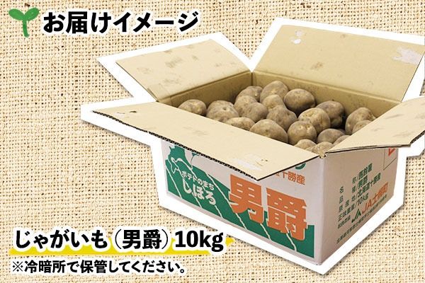 【CF2】北海道 じゃがいも 男爵 10kg 北海道産 十勝産 男爵芋 男爵イモ 男爵薯 ジャガイモ 芋 いも ポテト お取り寄せ まとめ買い 送料無料 十勝 士幌町【V03】