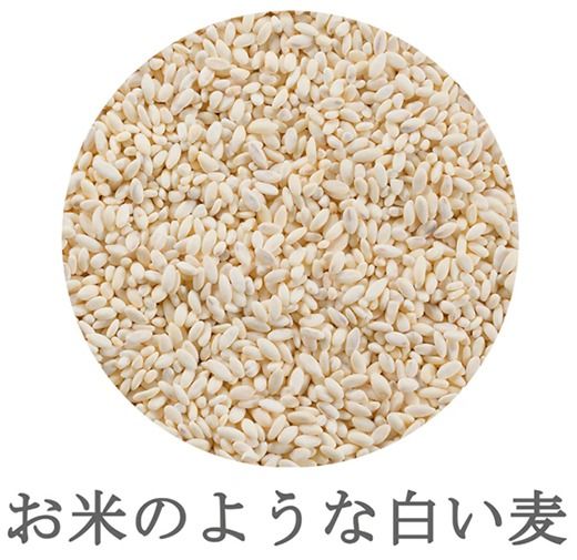 【はくばく】純麦スタンドパック ６袋（１袋６００ｇ）　純麦 国産大麦 食物繊維 麦 むぎ むぎご飯 麦ごはん 麦ご飯 ファイバースノウ 白い麦 個包装 スティック