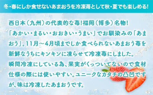 福岡産冷凍あまおう500gｘ5袋　AX014