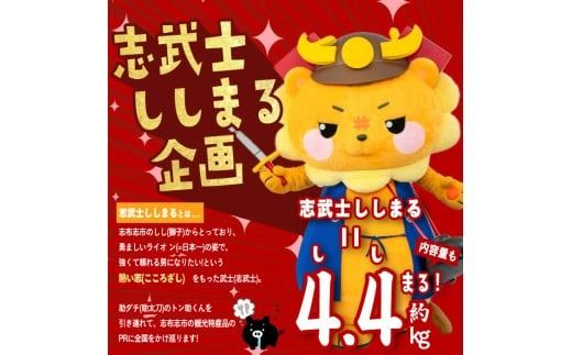 yuzuszy֑S4z܂鋍EؒB(4AE4.4kg) t0050-021