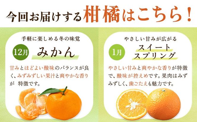 柑橘 柑橘定期便  森田果樹園 《12月上旬-4月末頃出荷》 熊本県 氷川町 柑橘 定期便 みかん スイートスプリング 晩白柚 不知火 八朔 果物 フルーツ 熊本県産---hkw_mtk_4_mo5---