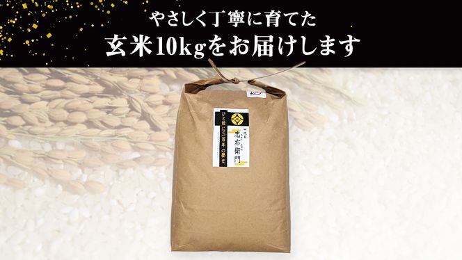 【 先行予約 】＜ 新米 ・ 令和6年産 ＞ 三百年続く農家の有機特別栽培 コシヒカリ ( 玄米 10kg) 有機栽培 農創 米 こめ コメ ごはん ご飯 玄米 国産 茨城県産 おいしい 新生活 プレゼント 新生活応援 必要なもの 便利 おすすめ 消耗品 一人暮らし 二人暮らし 必要 [AC36-NT]