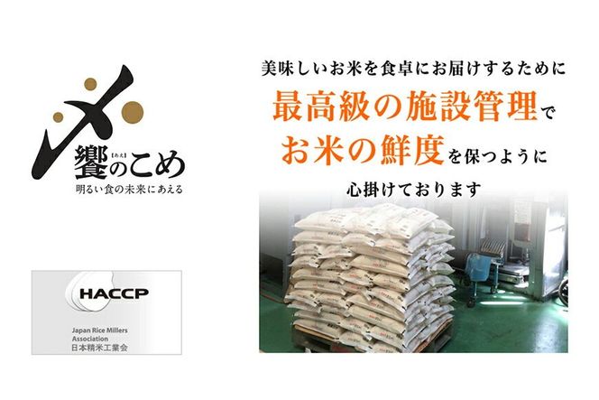 【期間限定発送】 米 令和7年 2kg ×4種 計 8kg 精米 食べ比べ [中橋商事 石川県 宝達志水町 38601091] こしひかり コシヒカリ お米 石川 こめ コメ 白米 10キロ ゆめみづほ ひゃくまん穀 つきあかり
