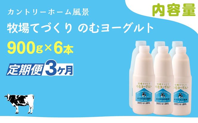 【定期3ヶ月】のむヨーグルト 900g ×6 SKB040