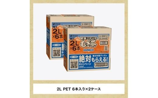 健康ミネラルむぎ茶 2L×6本×2ケース 飲料類 お茶 麦茶 [D07359]