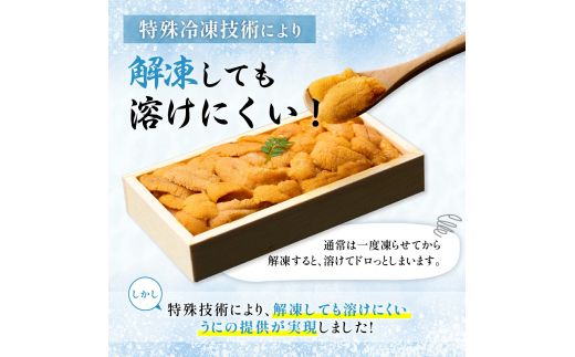 うに 冷凍 "生うに" エゾバフンウニ 折詰 100g 登りうに ギフト に おすすめ | ふるさと納税 うに 雲丹 海鮮 年内 配送  高級 ウニ 生ウニ エゾバフンウニ 折り詰め ギフト 贈答品 北海道 登別 ふるさと 人気 ランキング おすすめ 送料無料【mh-0831】