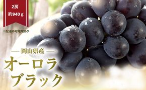 ぶどう 2026年 先行予約 オーロラブラック 2房 (約940g) 化粧箱入り