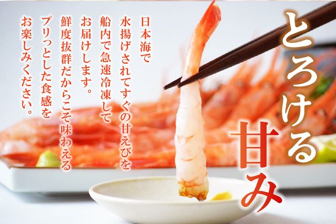 【兵庫県香美町産 刺身用 天然 甘えび 特大サイズ 約700g（約30尾） 冷凍】 国産 天然 甘えび えび エビ 刺身 味噌汁 海鮮 丼 海鮮丼 おかず お酒 おつまみ 肴 あて アテ 魚介類 人気 大人気 ランキング ふるさと納税 返礼品 おすすめ 兵庫県 香美町 香住 丸近 19-11