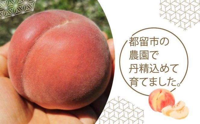 【2025年先行予約】都留市産　厳選　桃　詰め合わせ GV001