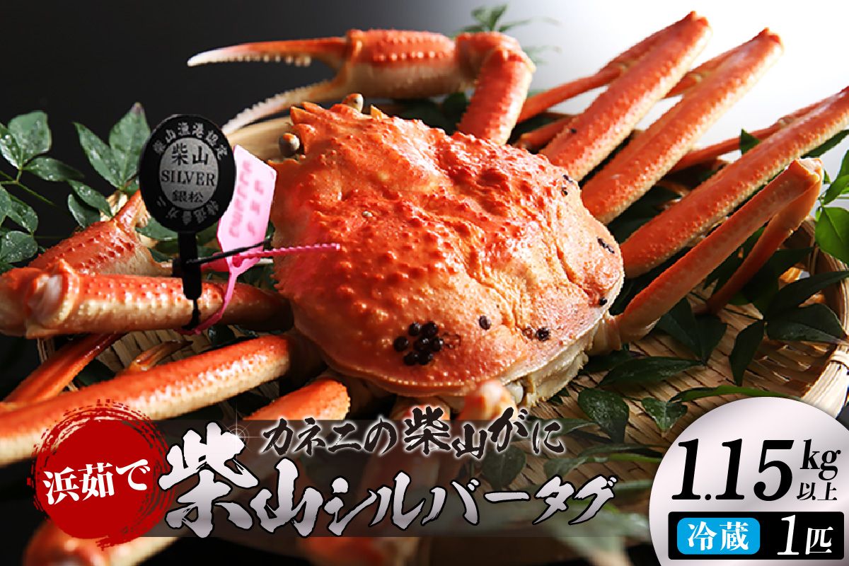 [先行予約][カネニの浜茹で柴山がに 柴山シルバータグ付き ボイル後1.15kg以上] 令和7年11月以降、水揚げ次第順次発送予定 冷蔵 高級 かにすき 焼きガニ ボイル 兵庫 香美 香住 06-23