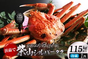 【先行予約】【カネニの浜茹で柴山がに 柴山シルバータグ付き ボイル後1.15kg以上】 令和7年11月中旬以降、水揚げ次第順次発送予定 冷蔵 高級 かにすき 焼きガニ カニ ボイル 兵庫県 香美町 香住 柴山 カネニ 06-23