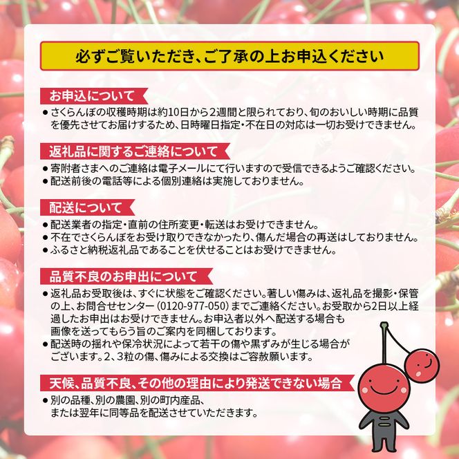 先行受付 北海道 仁木町産さくらんぼ 紅秀峰 600g（300g×2パック）北海道知事賞受賞農園 デザート スイーツ 最優秀賞 おすすめ 美味しい サクランボ チェリー フルーツ 果物 果物類　 仁木町 仁木 [端農園]