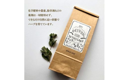【6回定期便】ハーブ仁淀川産 自然栽培ハーブ アップルミント ハーブティー ティーバッグタイプ ７袋入り×2個セット 定期便 6回 ティーバッグ お茶 ブレイクタイム【ハーブ仁淀川】 [BQBO010]